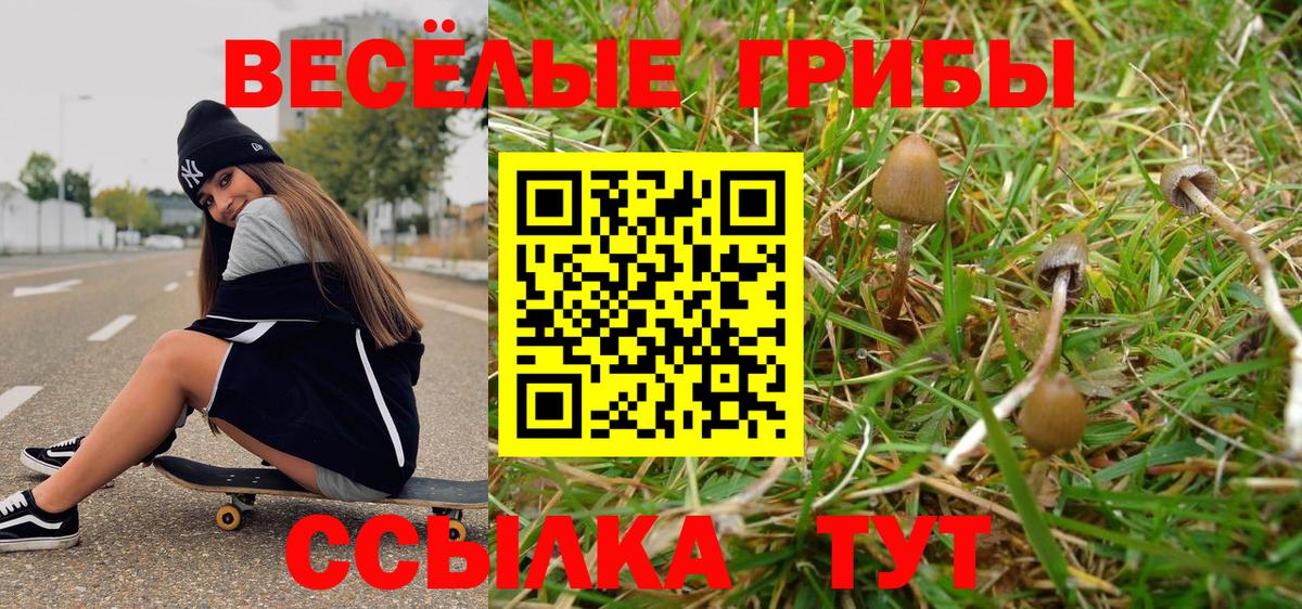 Галлюциногенные грибы Magic Shrooms Асино