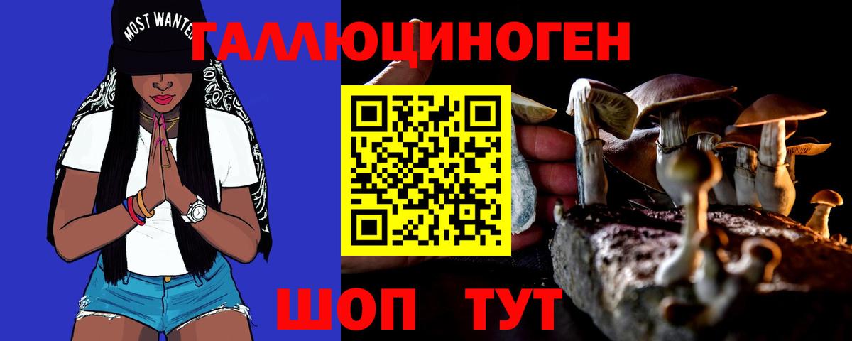 Асино  Псилоцибиновые грибы Psilocybine cubensis  Вход с VPN 
